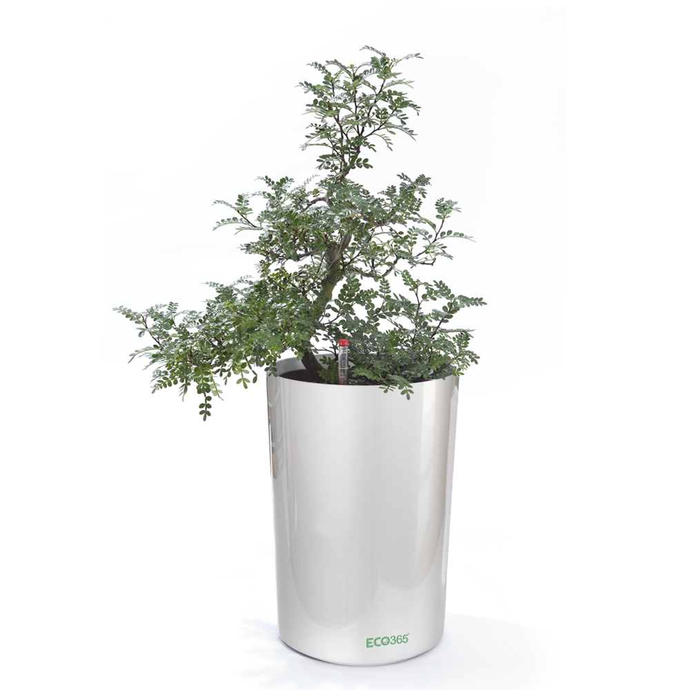 Self Watering Decor Planter Pot with Water Level Indicator (23x33.5cm,Gloss Finish) - ECO365