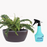 Self Watering Decor Planter Pot with FREE Trigger Sprayer (28x12.5cm, Matt Finish, Choco Brown)_1012 - ECO365