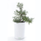 Self Watering Decor Planter Pot with Water Level Indicator (23x33.5cm,Gloss Finish) - ECO365