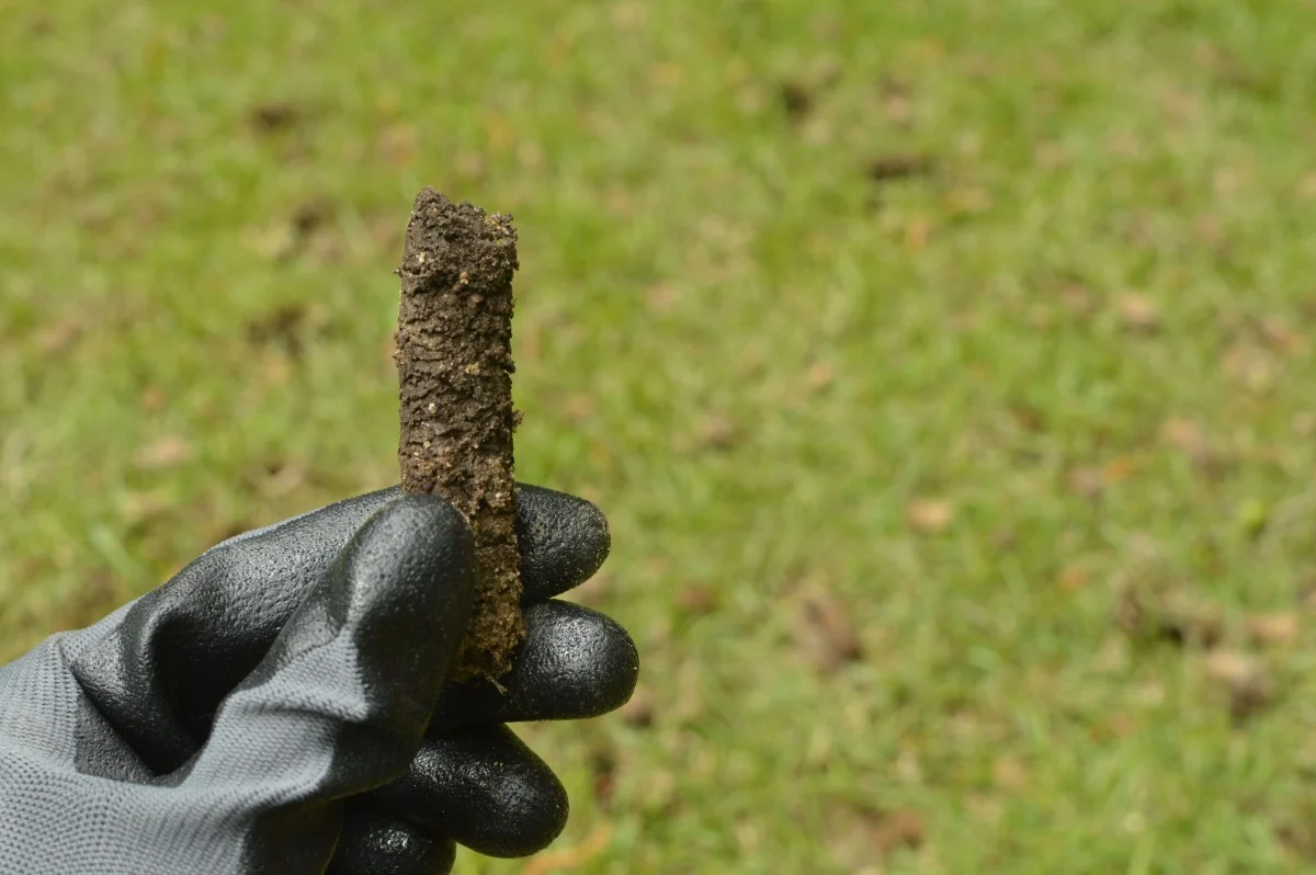 What To Do After Aerating Lawn-eco365store