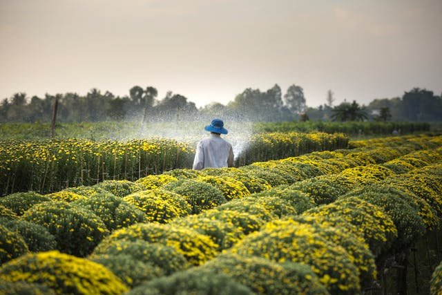 Slogans to Promote Agriculture