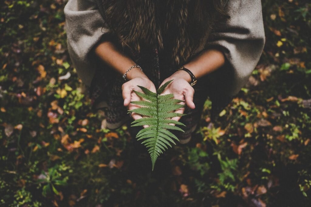 What to Plant in Fall