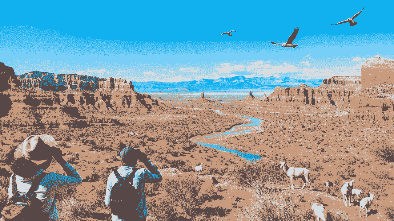 Best Places to See Wildlife in Arizona