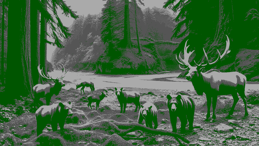 Best Places to See Wildlife in Olympic National Park