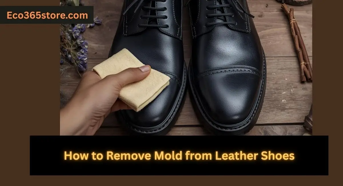 How to Remove Mold from Leather Shoes