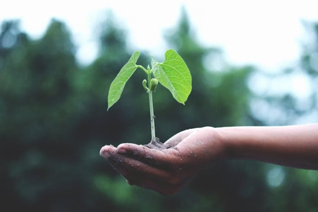 Tree Plantation Quotes