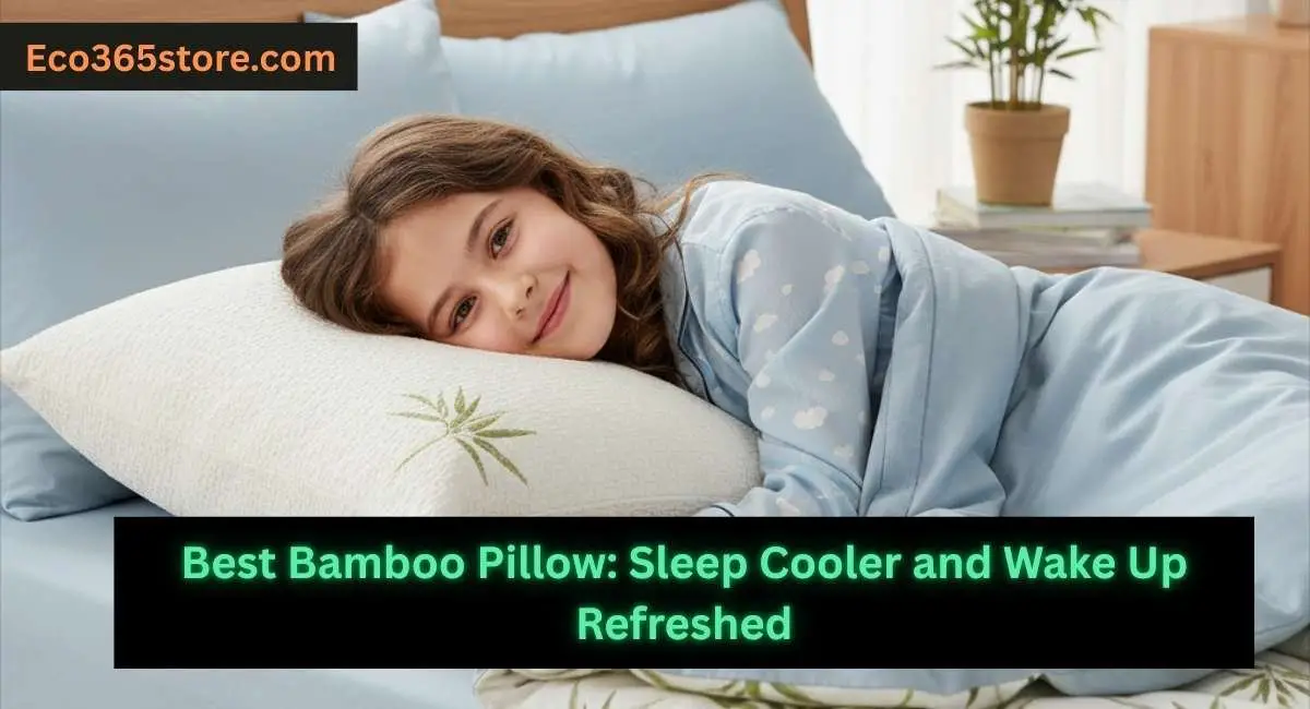 Best Bamboo Pillow