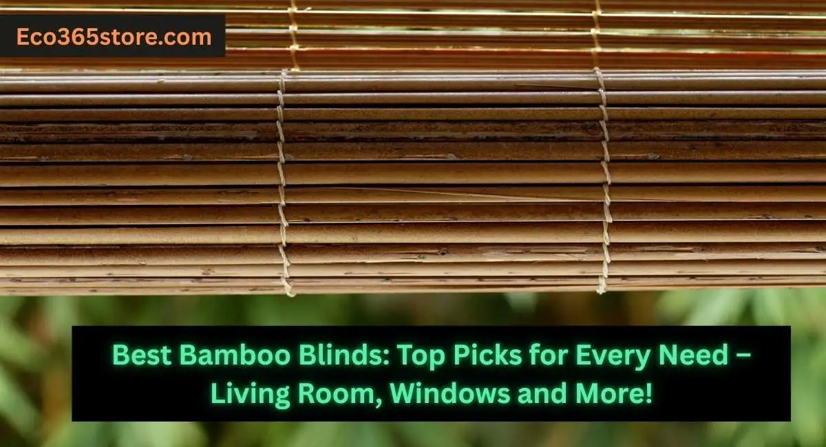 Best Bamboo Blinds