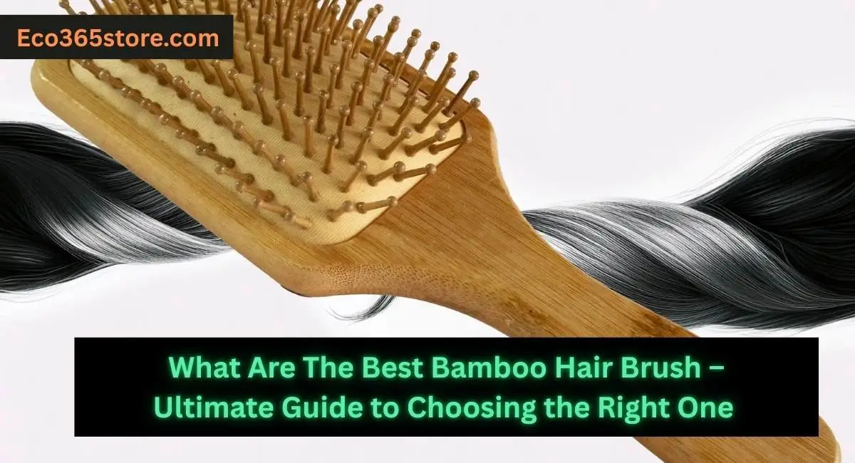 Best Bamboo Hair Brush