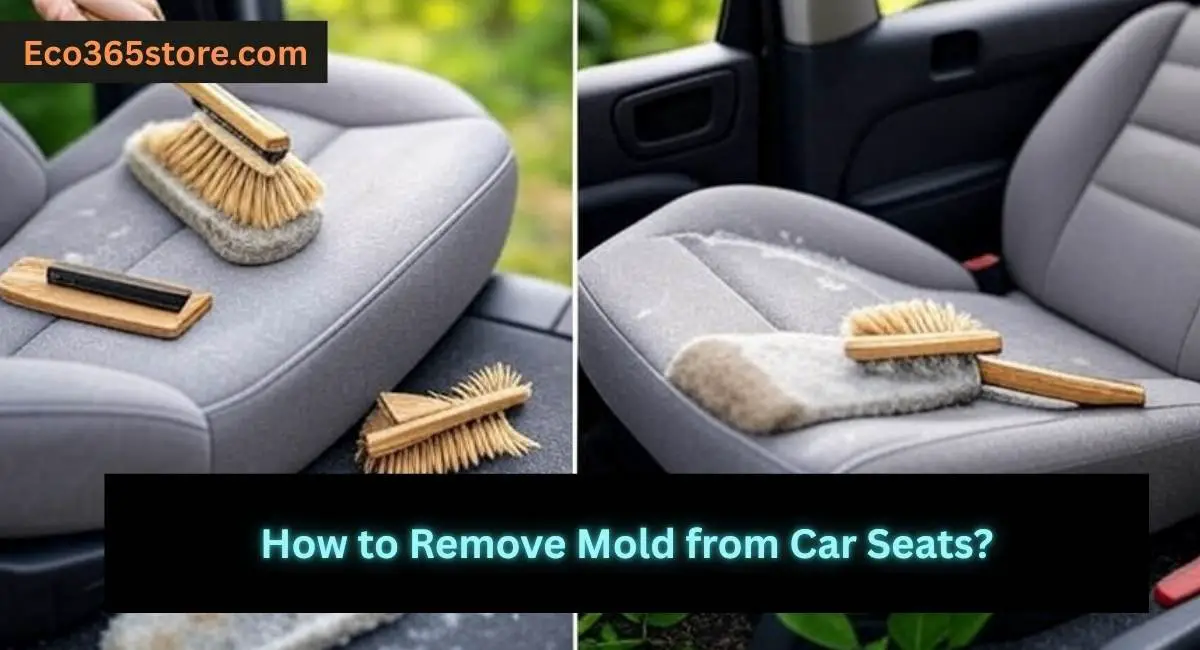 How to Remove Mold from Car Seats