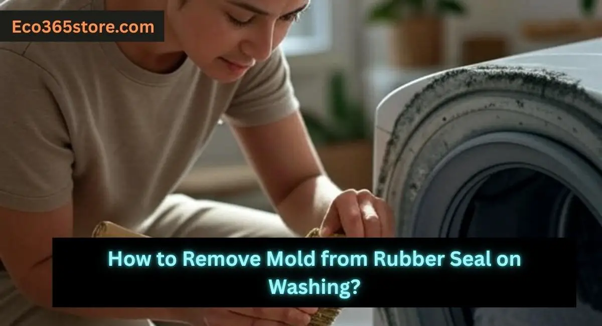 How to Remove Mold from Rubber Seal on Washing Machine